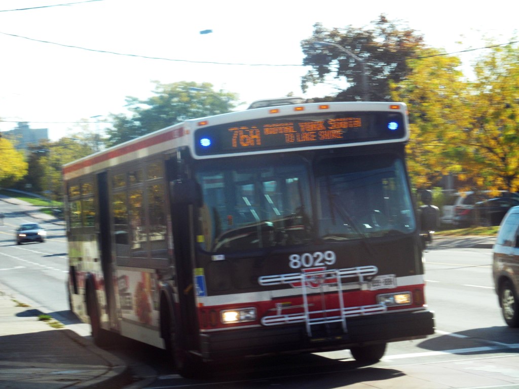 8029.JPG