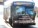 8009.JPG