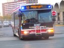 8087-1.JPG