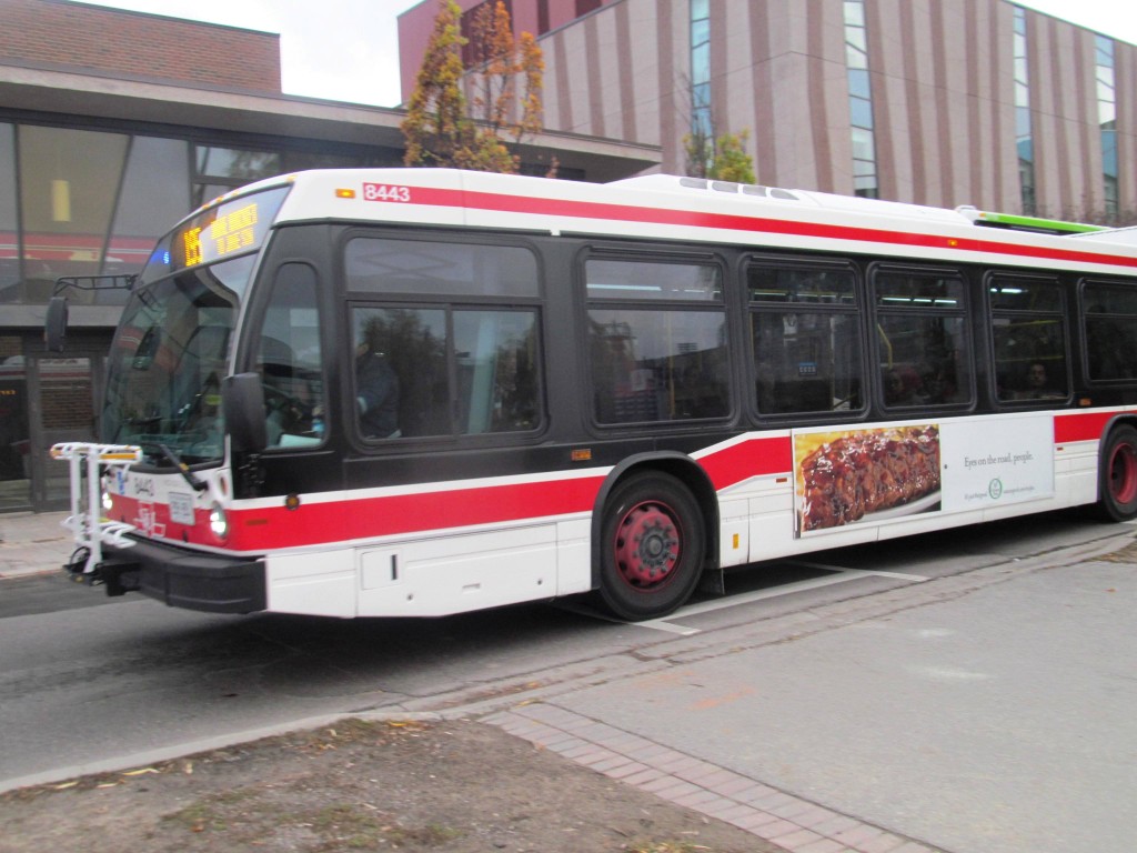 8443.JPG