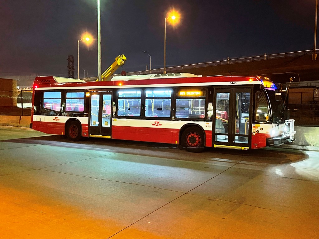 8446.JPG