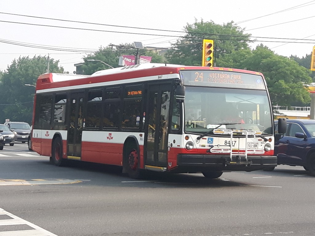 8447-2.jpg