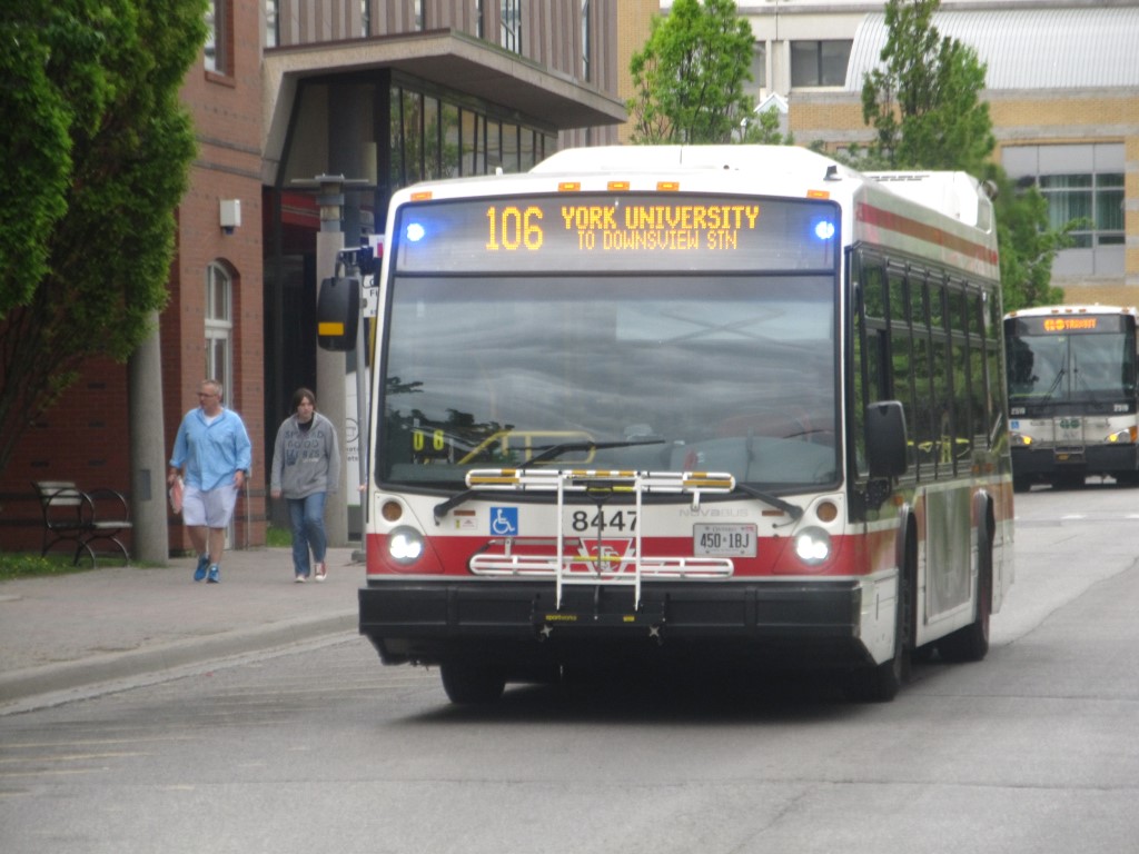 8447.JPG