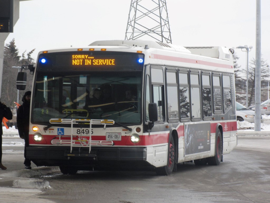 8495.JPG