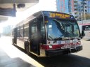 8403.JPG