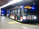 8404.JPG
