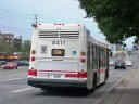 8411-4.JPG