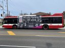 8423-3.JPG
