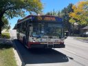 8429-2.JPG