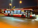 8446.JPG