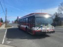 8447-1.JPG