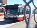 8449-2.jpg