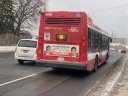 8458-5.jpg