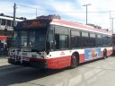 8482-2.jpg