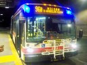 8490.JPG