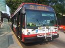 8501-4.jpg