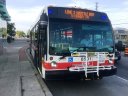 8501.JPG