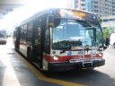 8503.JPG