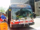 8504.JPG