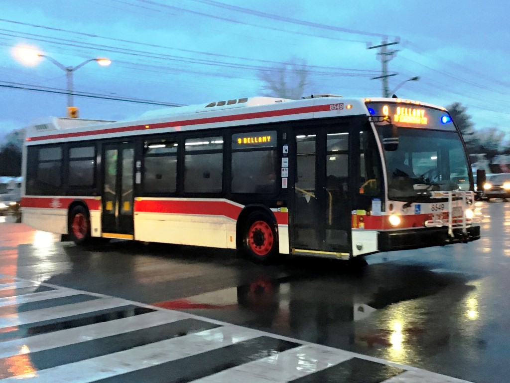 8549.JPG