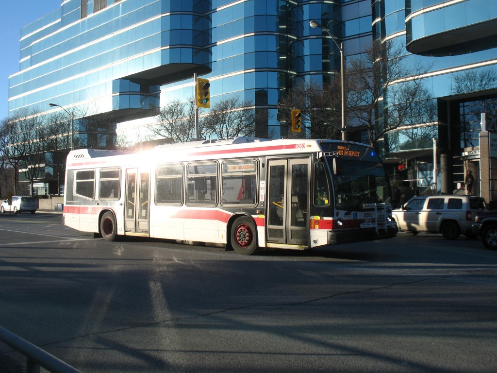 8560.JPG