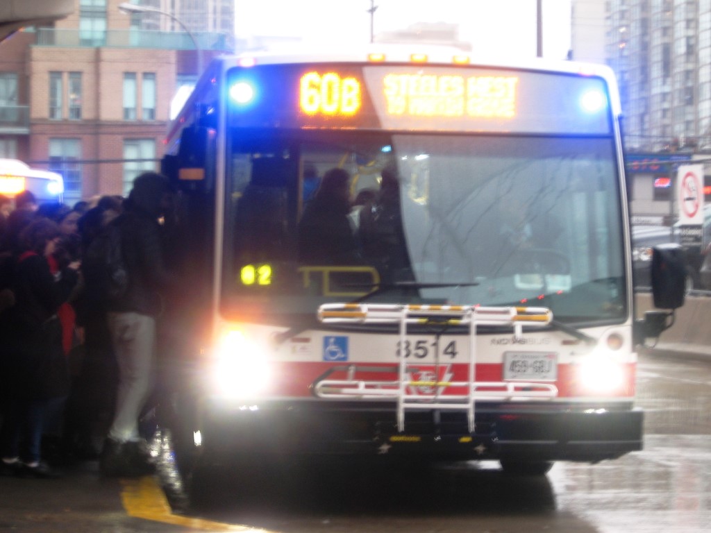 8561.JPG