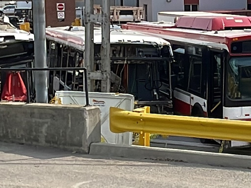 8573.JPG