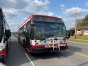 8515-1.JPG