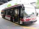8515.JPG