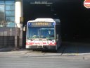 8534.JPG