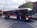 8542.JPG