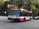 8561-4.JPG