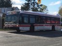 8566-2.JPG