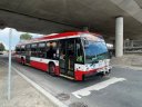 8572-1.JPG