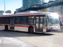8574.JPG