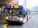 8615.JPG