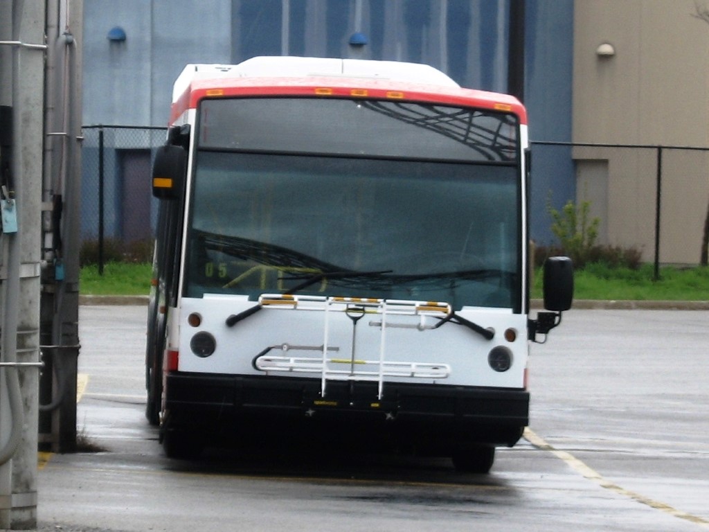 8624.JPG