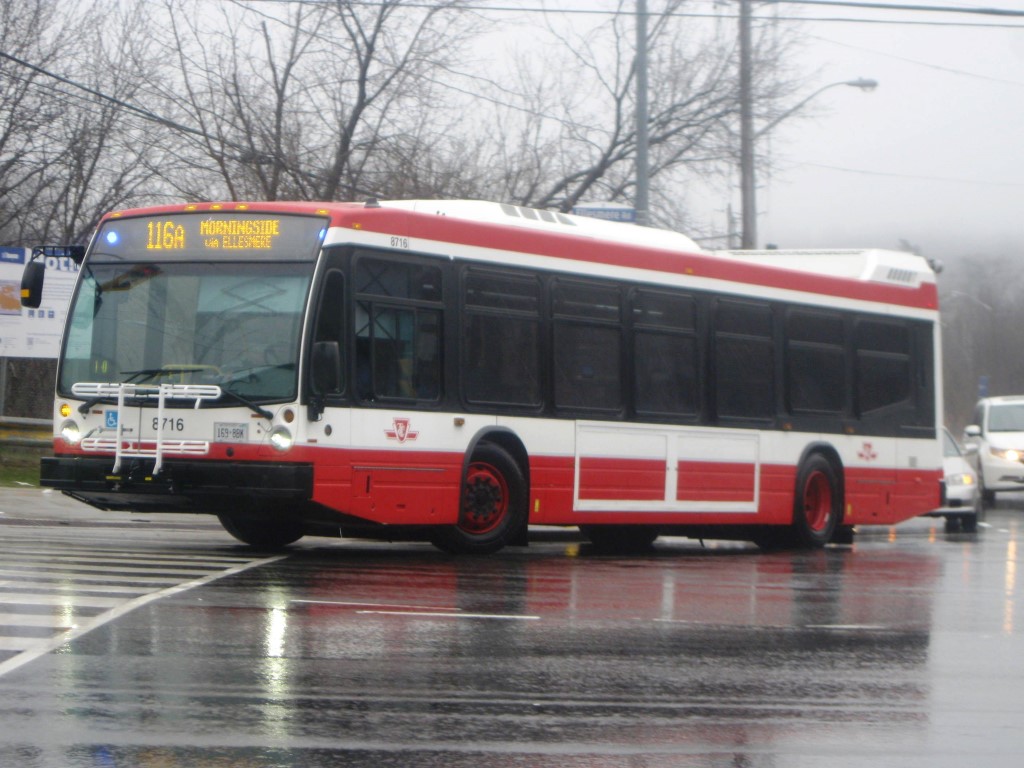 8716.JPG