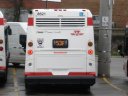 8621-1.JPG