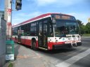 8621-7.JPG