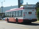 8623-1.JPG