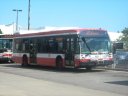 8626-1.JPG