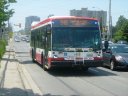 8626.JPG