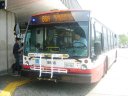 8636.JPG