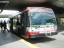 8653-2.JPG