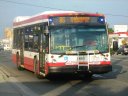 8653-3.JPG