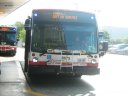 8675.JPG
