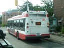 8683-1.JPG