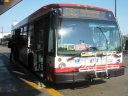 8714.JPG