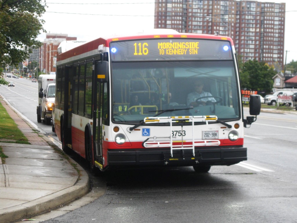 8753.JPG